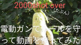 電動ガンでルールを守って動画を作ってみた [upl. by Aikas]