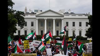 Pro Palestine Demonstration in Washington D C  Whats Going On [upl. by Llabmik]