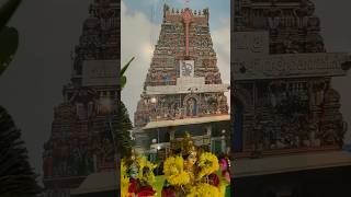 Sasti Golu 2024 Part 2 muruga murugan sastiviratham arupadaiveedu [upl. by Yelhsa]