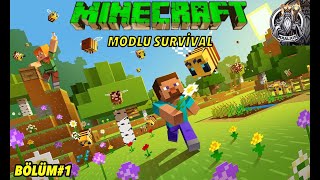 MODLU MINECRAFT BÖLÜM1  HEXXİT TEKKİT KARIŞIK MODLAR İLE YENİ SERİ  minecraft survival [upl. by Eerhs781]