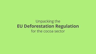 Unpacking the EU Deforestation Regulation for the cocoa sector [upl. by Zoila663]