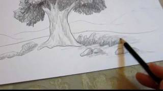 How To Draw A Tree in Landscape  Drawing Techniques [upl. by Dorie]