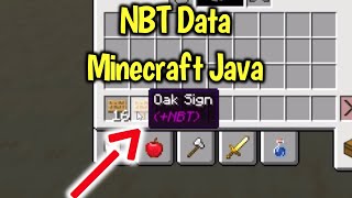 Minecraft  How To Get NBT Data [upl. by Sausa948]