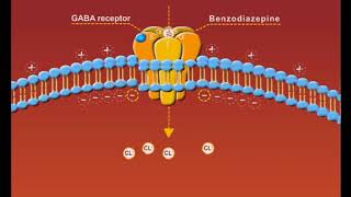 Benzodiazepines animation sedatives and hypnotics [upl. by Cuhp465]