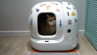 New SelfCleaning Cat Litter Box for Hosico  PETKIT PURA MAX [upl. by Arbmat]