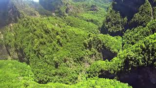 VSC  Barranco del agua San Andrés y Sauces  Paisajes de La Palma HD [upl. by Catlin]