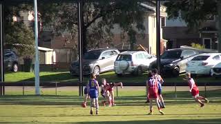 AFL SE Interleague RD3 SEJ U13 vs FDJFL U13 [upl. by Neelyhtak705]