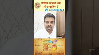 नैऋत्य कोण में क्या होना चाहिए southwestvastu vastutips shorts truthofastrolife [upl. by Mairhpe467]