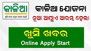 Kalia Yojana New Apply Start  Kalia Yojana New list 2023 Odisha  Kalia Yojana Online Apply [upl. by Legra]