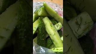 Gesalzene Dillgurken 🥒 gurken dill rezept [upl. by Flanna]