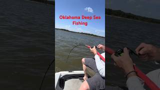 No it’s not really the sea 😂 metal music fishing oklahoma paddlefish opg [upl. by Latimer]