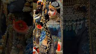 Naina Jo Mile Hain Sarkar Se 🙏🌹🥰 radhakrishna krishnabhajan krishnastatus shorts youtubeshorts [upl. by Aela]