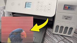 How to Fix Epson EcoTank Printing Lines amp Stripes [upl. by Alyose]