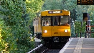 U6 Holzhauser Straße UBahn Berlin [upl. by Alegre]