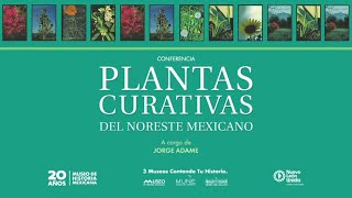 Plantas Curativas del Noreste Mexicano A cargo del Lic Jorge Adame [upl. by Schlessel]