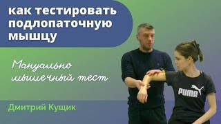 Тестирование подлопаточной мышцы Прикладная кинезиология Дмитрий Кущик [upl. by Lraep]