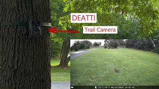 DEATTI 48MP Trail Camera night vision and SD card trailcam trailcamera hunting [upl. by Blau21]