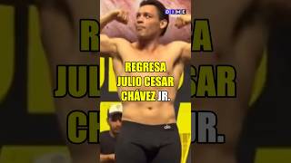 Regresa Julio Cesar Chavez Jr 🥊 [upl. by Amees]