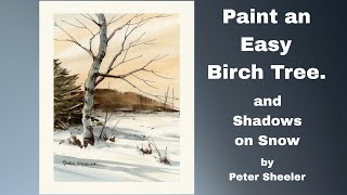 Easy Birch tree and Winter shadows in Line and Wash Watercolor Great for Beginners Peter Sheeler [upl. by Ostler544]