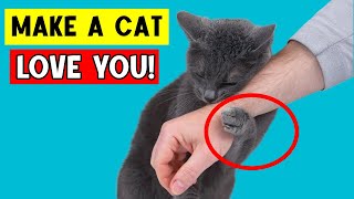 10 Ways to Make a Cat Like You Scientifically Proven 🔥 [upl. by Karisa]