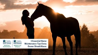 3 Essential Horse Maintenance Tips Every Owner Should Know [upl. by Swetlana]