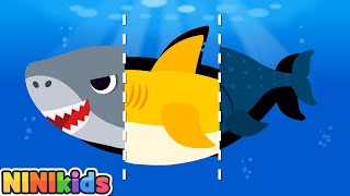 What kind of shark am I  Shadow Shark Game for Kids  Baby Shark great white shark NINIkids [upl. by Dduj175]