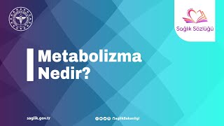 Metabolizma Nedir SağlıkSözlüğü [upl. by Chemush]