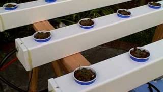 How to Build a Hydroponic Garden [upl. by Hsihsa]