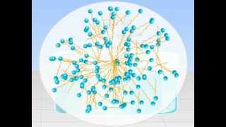 Micelle Formation Tutorials Online  Class 12 Science Meritnationcom [upl. by Selwyn186]