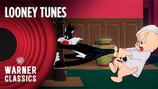 Looney Tunes  Scaredy Cat 1948 Full Episode  Warner Classics [upl. by Gariepy]