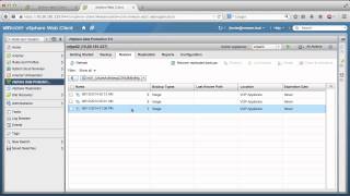 VMware vSphere Data Protection  Restoring Replicated Backup Data [upl. by Steiner]