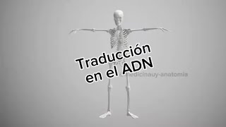 Traducción en el ADN medicinauy [upl. by Nunciata169]