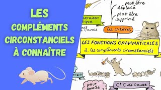 COMPLÉMENTS et PROPOSITIONS SUBORDONNÉES CIRCONSTANCIELLES [upl. by Ervin310]