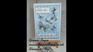 Butterfly Gala just a note card Stampin Up [upl. by Vivianna]