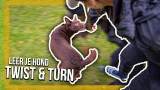 TRAIN JE HOND  Hoe leer je je hond het commando TWIST amp TURN [upl. by Imas]