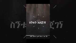 Aster Abebe  NEW ALBUM  Fera Frehateፈራ ፍርሀቴ  Hallelujah ሃሌሉያshorts [upl. by Necyrb995]