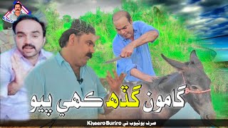 Gamoo Gadah kuhen payo sajad makhni with kheero Buriro Sindhi funny [upl. by Klatt]