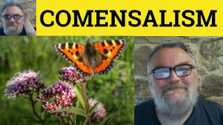 😎 Commensalism Meaning  Amensalism Defined  Symbiosis Examples  Mutualism Definition  Parasitism [upl. by Esdnyl]