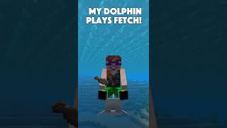 Riding a DOLPHIN in Minecraft is FUN  minecraft shortsvideo shorts [upl. by Woo]