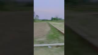 funnykite kiteflying kitefighting kitelover kiteclub Kanpurkitesfighter youtubesubscribe ak [upl. by Rehposirhc918]