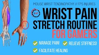 Wrist Pain Stretching Routine for Gamers  Mouse Wrist Tendinopathy 2020  1HP [upl. by Neirrad318]