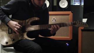 Jaden Rose Guitars  MyrtlewoodAsh 6string  Improv Tone Demo [upl. by Grantland255]