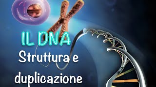 La struttura del DNA e la sua duplicazione [upl. by Ramyar]