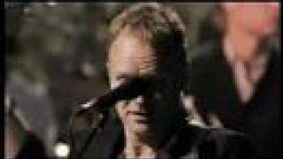 Sting Desert rose live [upl. by Lib]