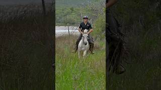 The perfect canter  on a horseback safari in Africa with Leo horse wildafrica equestrians [upl. by Ahsimac]