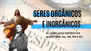 SERES ORGÂNICOS E INORGÂNICOS  VICTOR HUGO [upl. by Schuyler667]