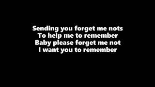 Patrice Rushen  Forget Me Nots Lyrics [upl. by Ahsinoj968]