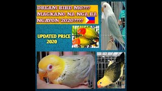 UPDATED PRICE LIST OF AFRICAN LOVEBIRDS OF THE PHILIPPINE LOCAL MARKET YEAR 2020 [upl. by Atiraj802]