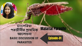 Basic discussion of Malaria hsc biology in bengali exam 2025। Malarial parasite । অণুজীব। Episode01 [upl. by Enidualc]