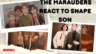 The Marauders React To Snape Son  ￼Harry Potter [upl. by Ayortal]